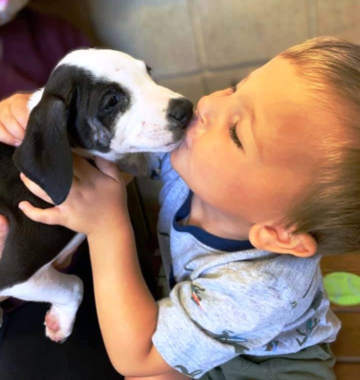 Boy with cleft lip found perfect match