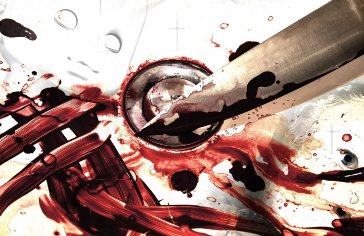 17-Year-Old Teenager Pleads Guilty to Stabbing His Sister to Death