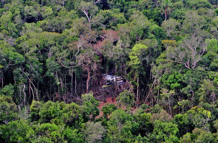 Amazon Plane Crash: Brave Mother Sacrifices Herself, Urges Children to Seek Help